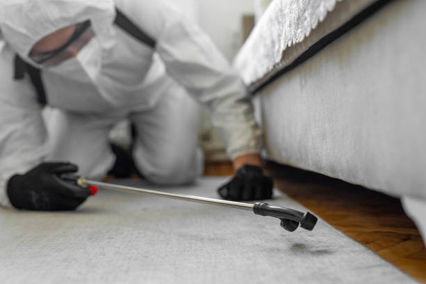 Professional Bed Bug Control technician working in Ocean County County, NJ